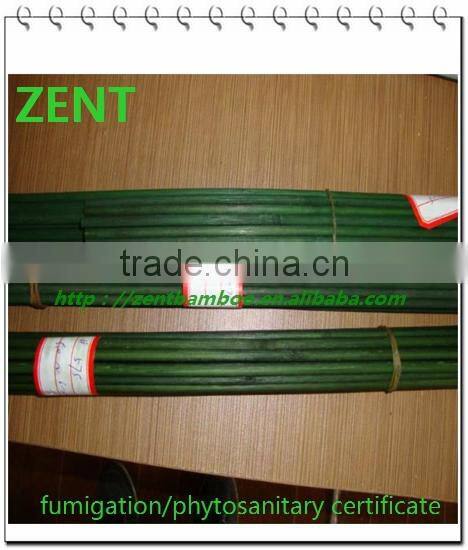 ZENT-3 bamboo flower stick