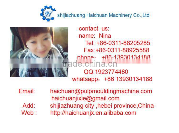 bulk egg carton factory