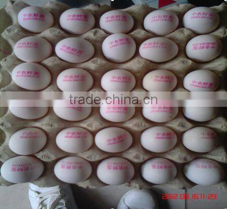 Best selling high resolution inkjet printing machine/carton coding machine