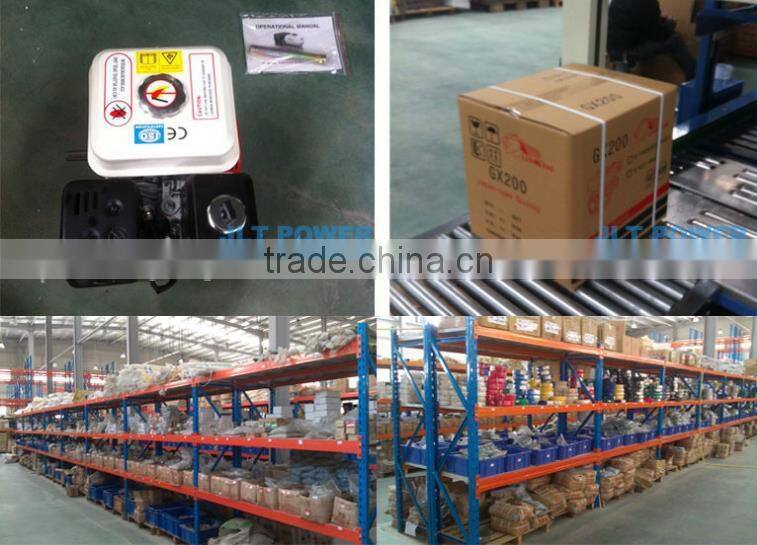 Standard chinese motorcycle gasoline motore