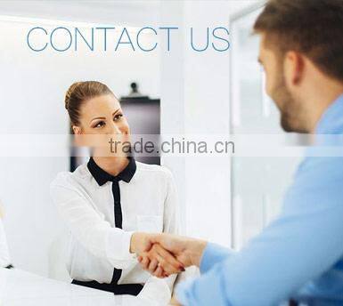 R1917H Single motor Pet dryer pet hair dryer machine pet blower