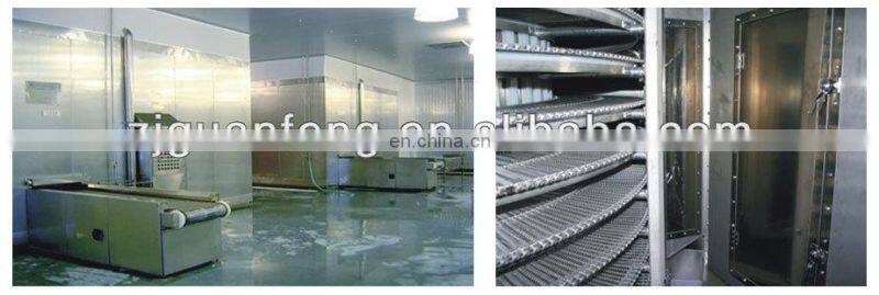 Pineapple Raspberry Freezer IQF Freezing Granulated Orange Machine