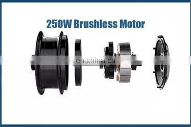 BEBHM20CM EU Hot Sale 20 Inch 36V 350W Elektrofahrrad Folding Electric Bike with Hidden Lithium Battery, E-bicycle