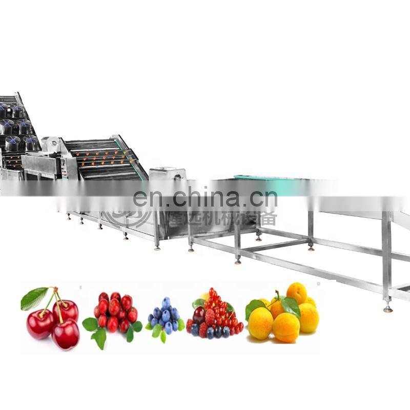 LONKIA Full Automatic Root/ Leafy Vegetables/Fruit/Salad Washing Dehydrator Line Water Bubble Washing with Factory Price