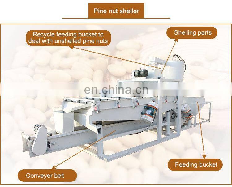 pine nut processing machine pine cone crusher pine nut cracking machine