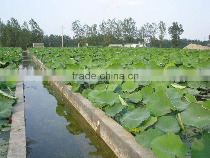 HDPE GEOMEMBRANE FOR POND,TUNNEL,AGRIDUCLTURE