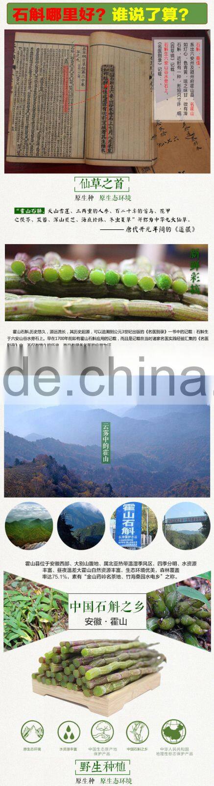 High Quality Dendrobium chrysanthum