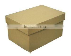 Good Quality Custom Printed Cardboard Waterproof Box for Delivery