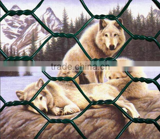 Anping Xinxiang Cheap Galvanized Hexagonal Wire Netting