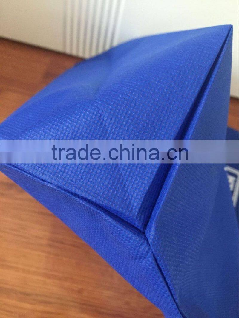 Nice Folding Non Woven Bag