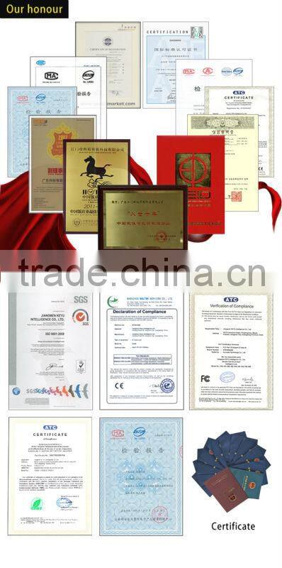 fingerprint biometric code lock