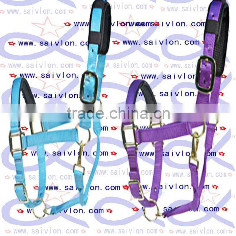 Horse riding equipment with bridle ane rein in durable