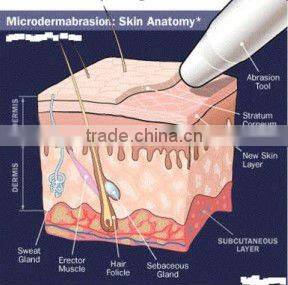 2012 RF and Cryo Meso Face Action Beauty Machine