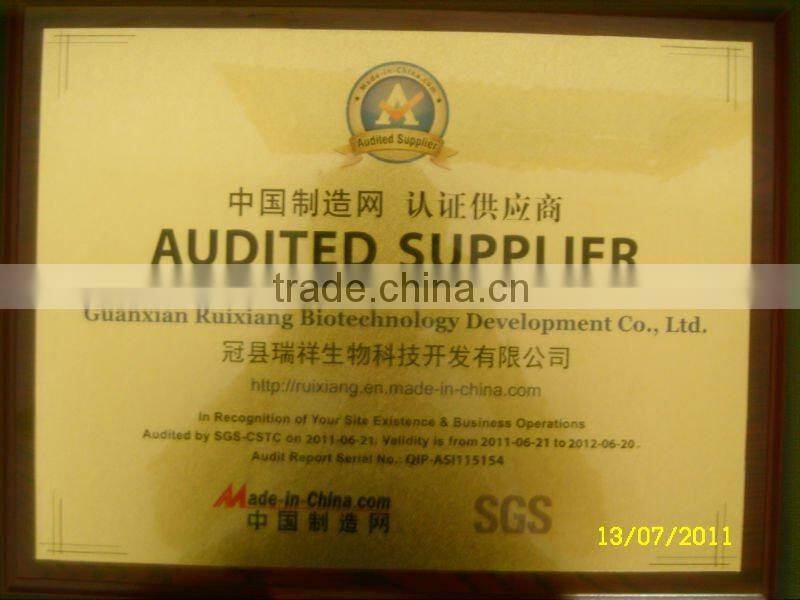 wheat gluten feed grade