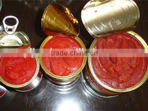 2014 Products New Gino Tomato Paste
