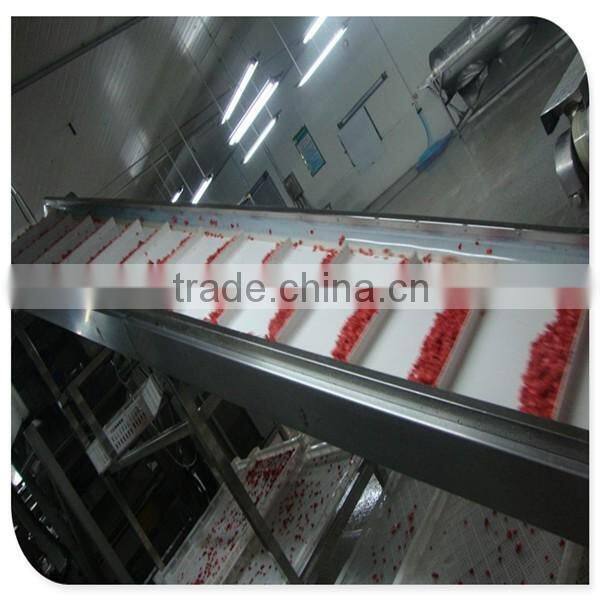 Haccp frozen IQF strawberry Gade A 15-- 25mm,25--35mm