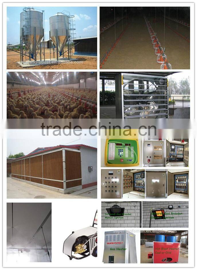 Automatic poultry farm equipment for chicken broiler