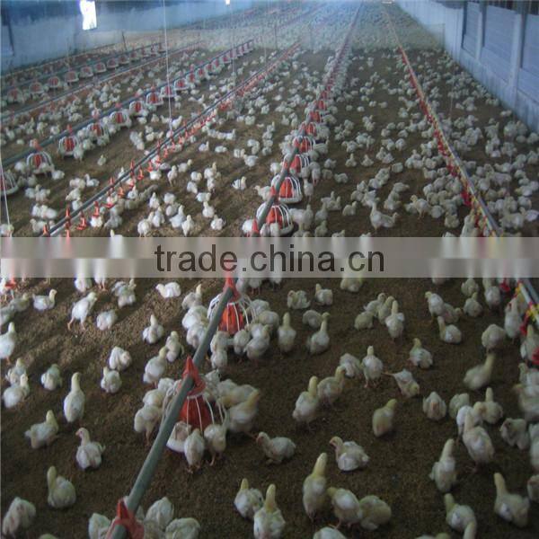 Automatic poultry farm equipment for chicken broiler