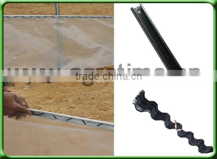 umbrella tree growing greenhouse for sale in China