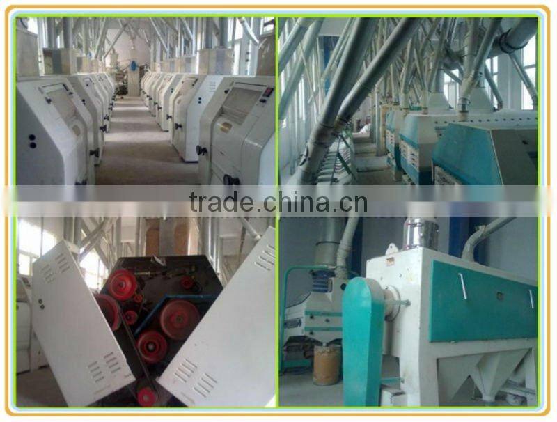 high standard wheat processing line