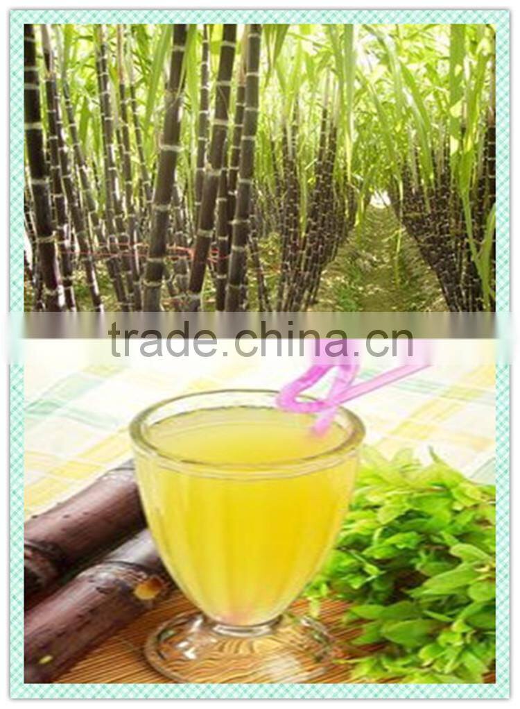 NEWEEK shop use commercial stainless Electric sugar cane crusher