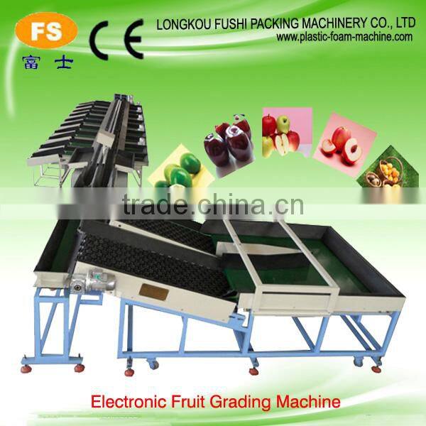Pomelo Washing Grading Machine