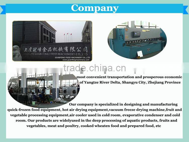 Automatic continuous frying machine