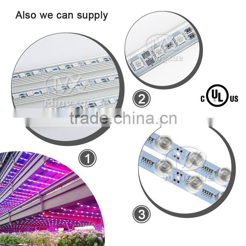 Red And Blue 6:1 Grow Led Light Flexible Waterproof Led Grow Strip
