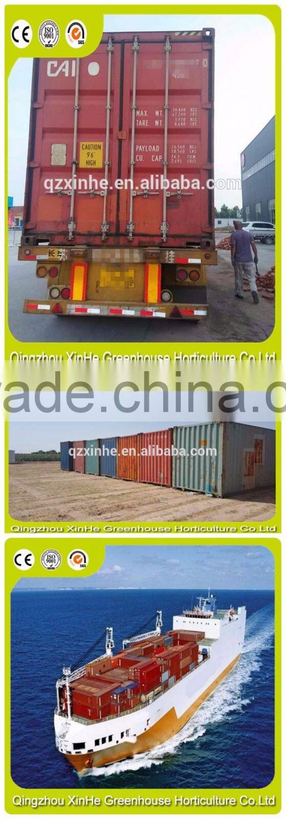 High Quality Tunnel Greenhouse