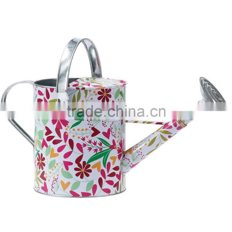 Colorful Metal Garden Watering Can/Pot