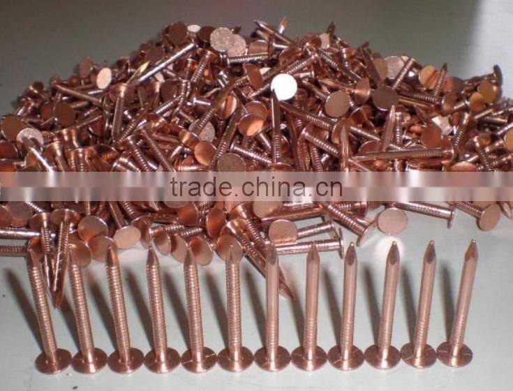 Copper roofing nails from Guangzhou supplier