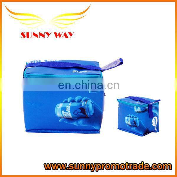 Custom Insulated lunch bag