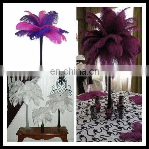 Wholesale! Ostrich Feather Boa For decoration