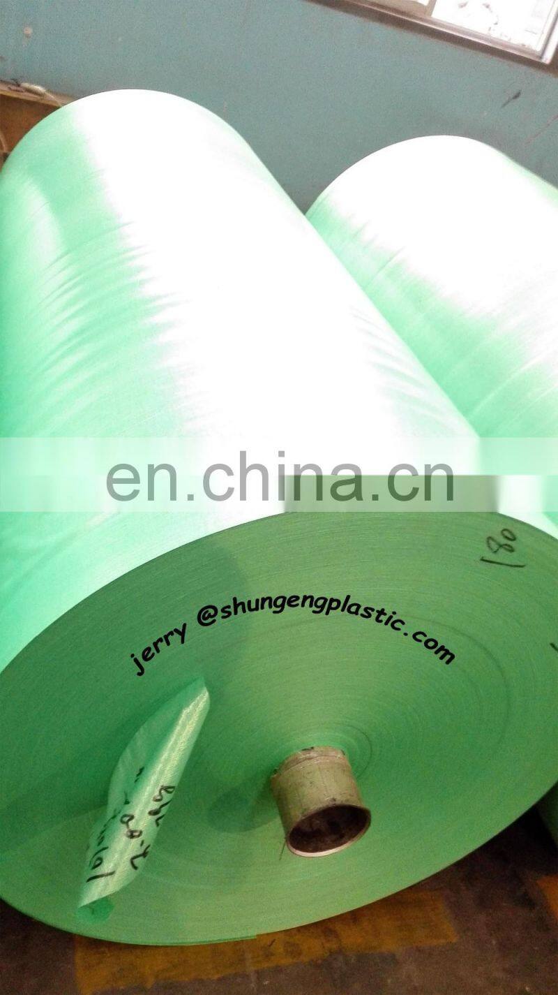 highe tensile strength pe tarpaulin roll 2m x 100m and 2m x 50m roll size
