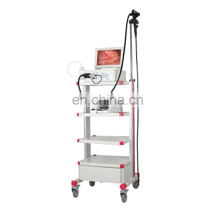 Automatic white balance adjustment LED lamp video endoscopy equipment for veterinary