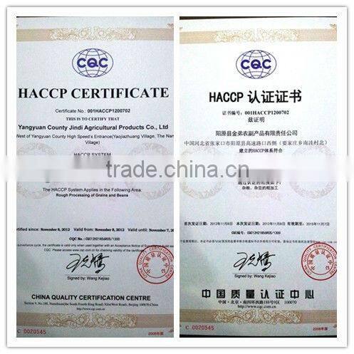 High quality yellow broad beans / faba beans / fava beans for canning food