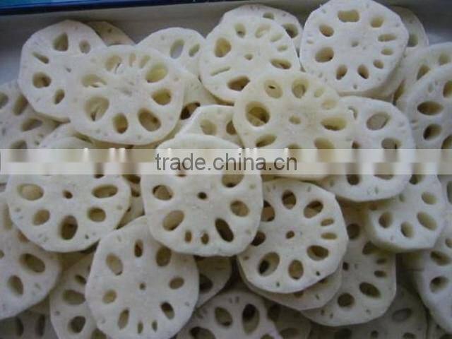 frozen lotus root slice with best price