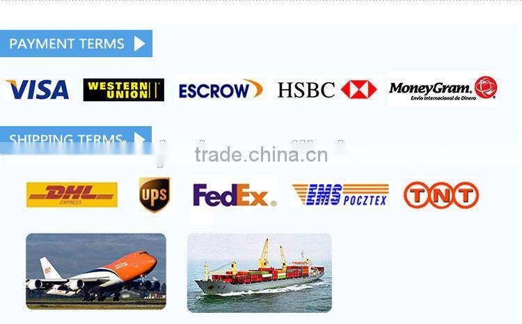 2015 special designed fashion bicycle sunglasses