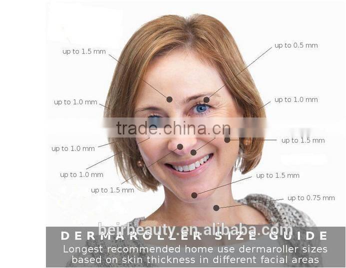 CE and RoHS korea Titanium 300&720 &1200 pins Bionic galvanic Skin nurse wrinkles eliminate derma roller