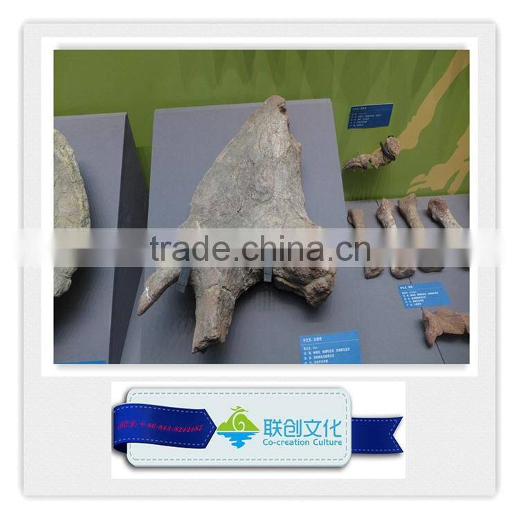 High quality museum life size dinosaur replica