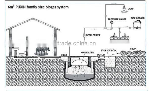 China Puxin Durable Home Use 10m3 Hydraulic Pressure Biogas Digester