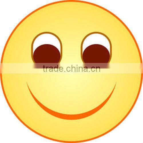 2014 most popular dual 12 inch big power speaker with dvd