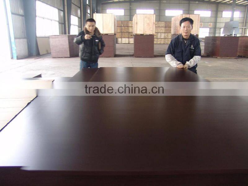 first grade 15mm film faced pywood