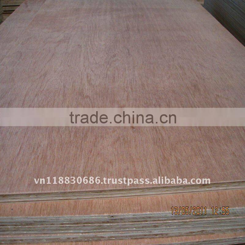 Packing plywood-manufacturer VietNam