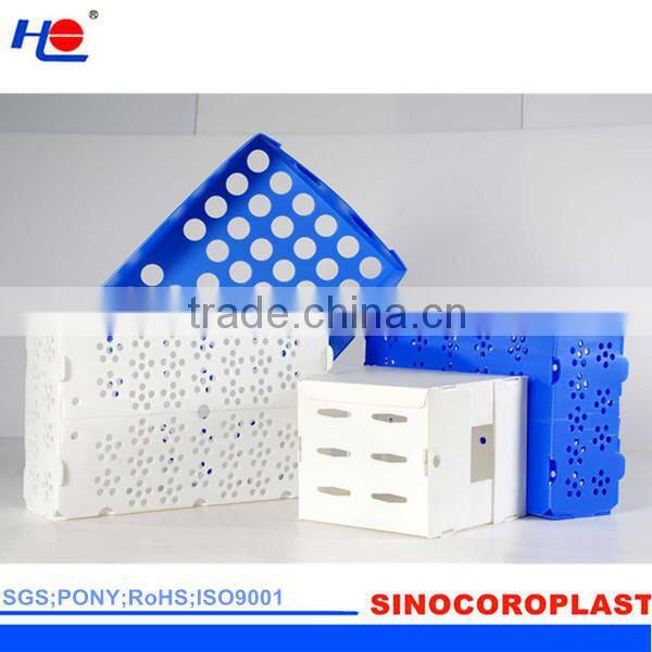 PP Coroplast Fruit Packing Box
