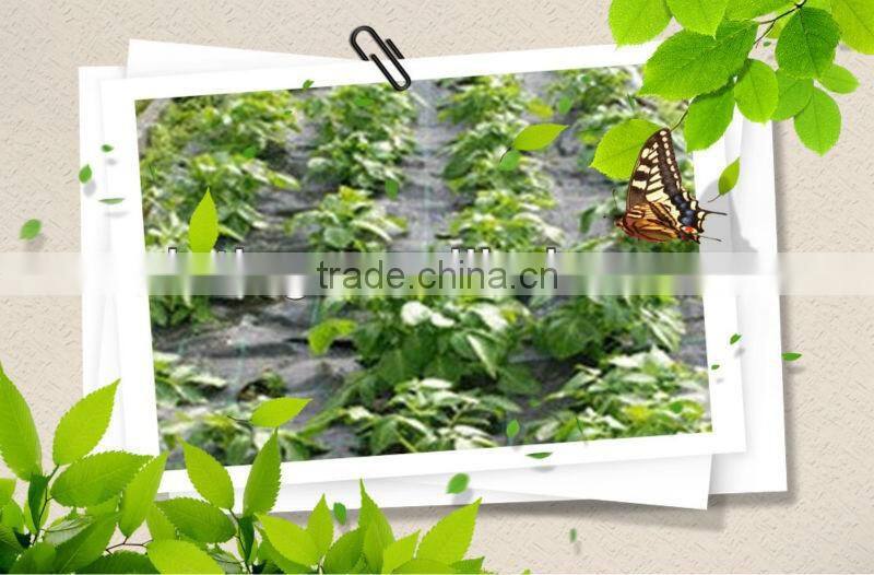 PE Garden Wind proof netting