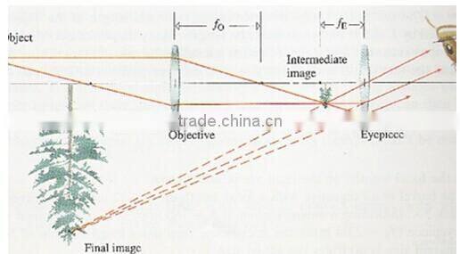 Plastic Mini Toy Binocular for Kids
