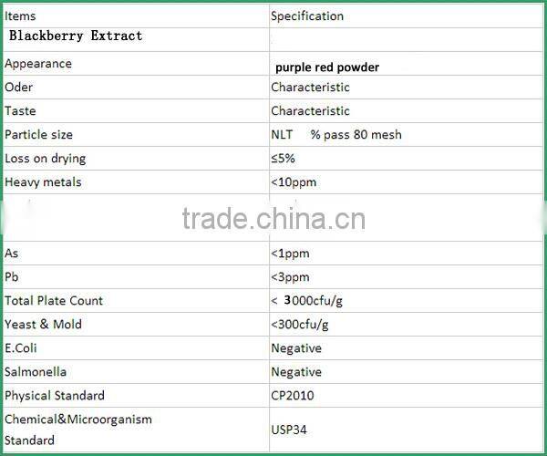 Hot-Sale High Quality Anti-oxidant Blackberry Extract Powder with Anthocyanidins 25% ,Anthocyanins 1-25%