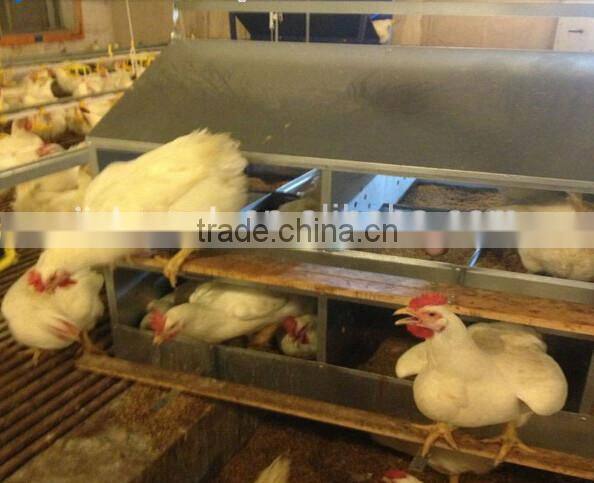 galvanized sheet nest boxes with 24 hole for sale