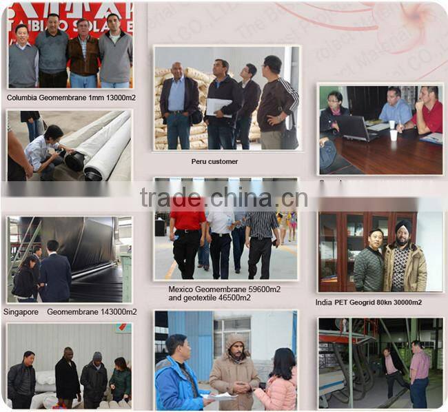 200g PET short fiber needle punched nonwoven geotextile